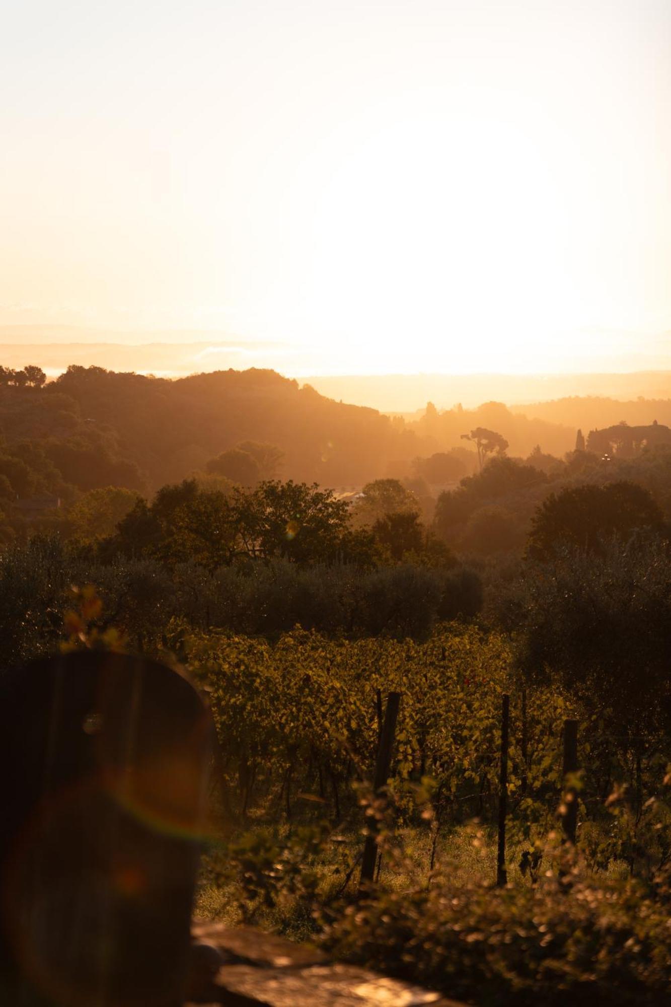 Agriturismo San Martino Montepulciano Stazione エクステリア 写真