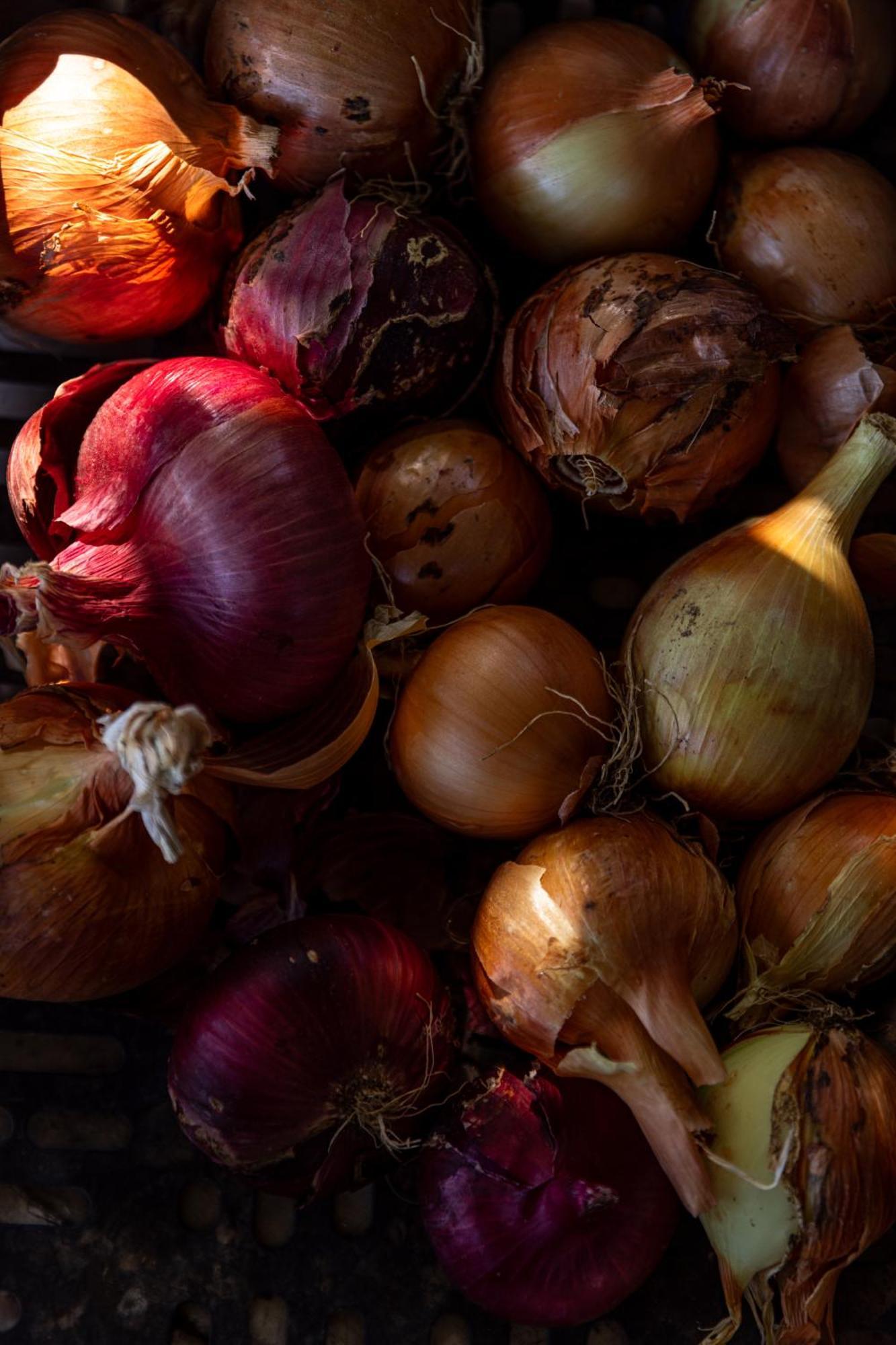 Agriturismo San Martino Montepulciano Stazione エクステリア 写真