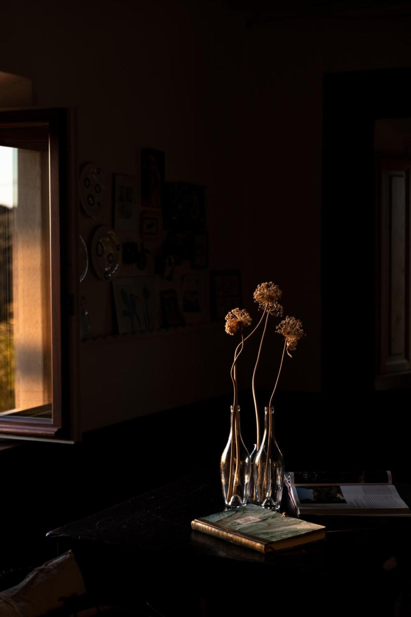 Agriturismo San Martino Montepulciano Stazione エクステリア 写真