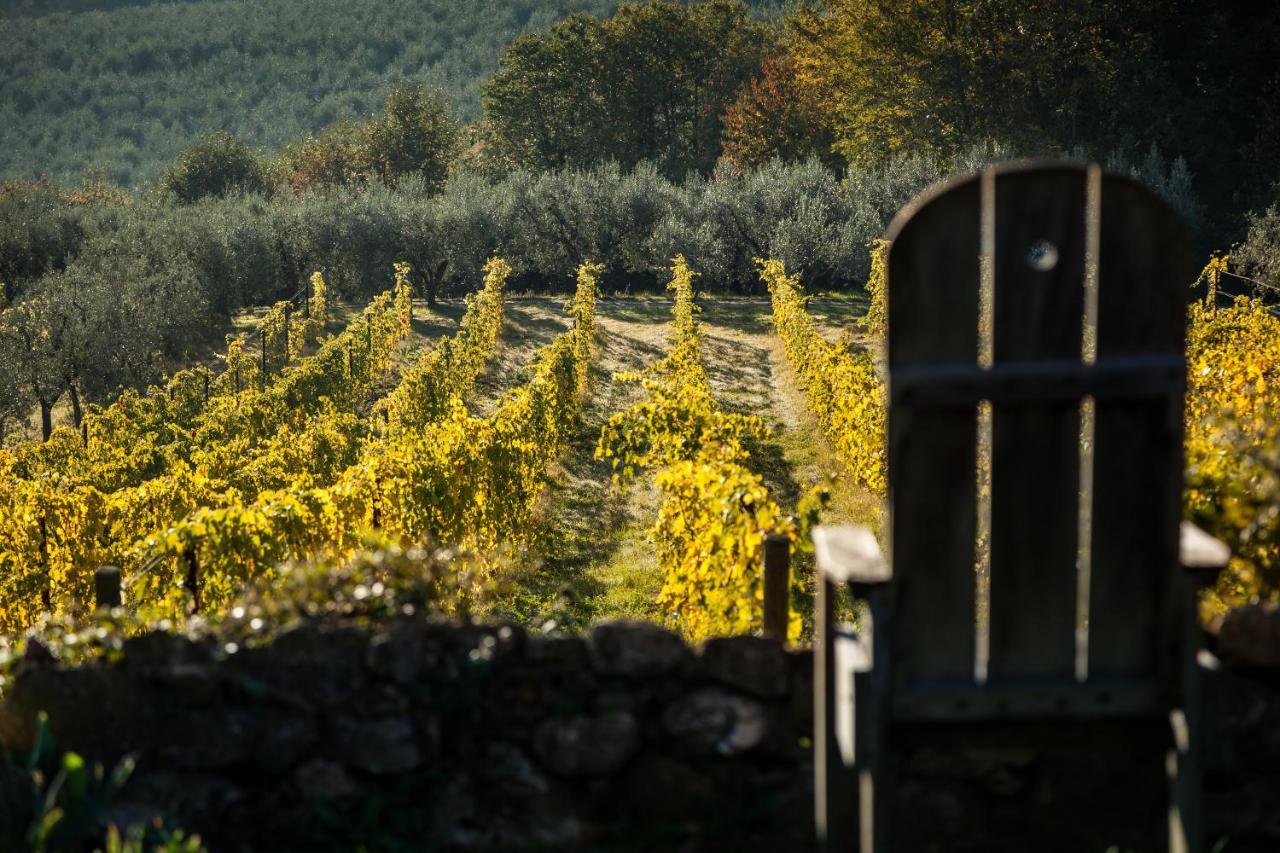 Agriturismo San Martino Montepulciano Stazione エクステリア 写真